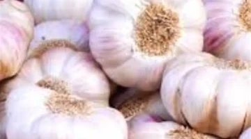 تقوية المناعة الطبيعية.. دراسة علمية توضح فوائد تناول الأسماك لدعم خلايا الجسم